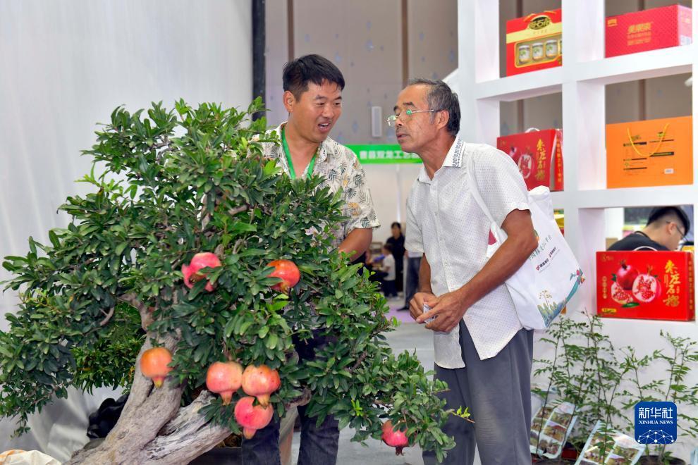 渔乐王国手机版上分